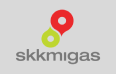 skkmigas - Client PetroSync